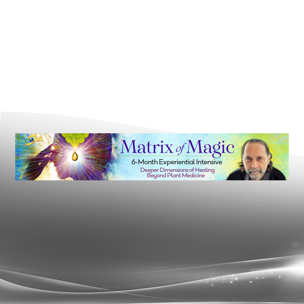 David Crow - Matrix of Magic 6-Month Experiential Intensive